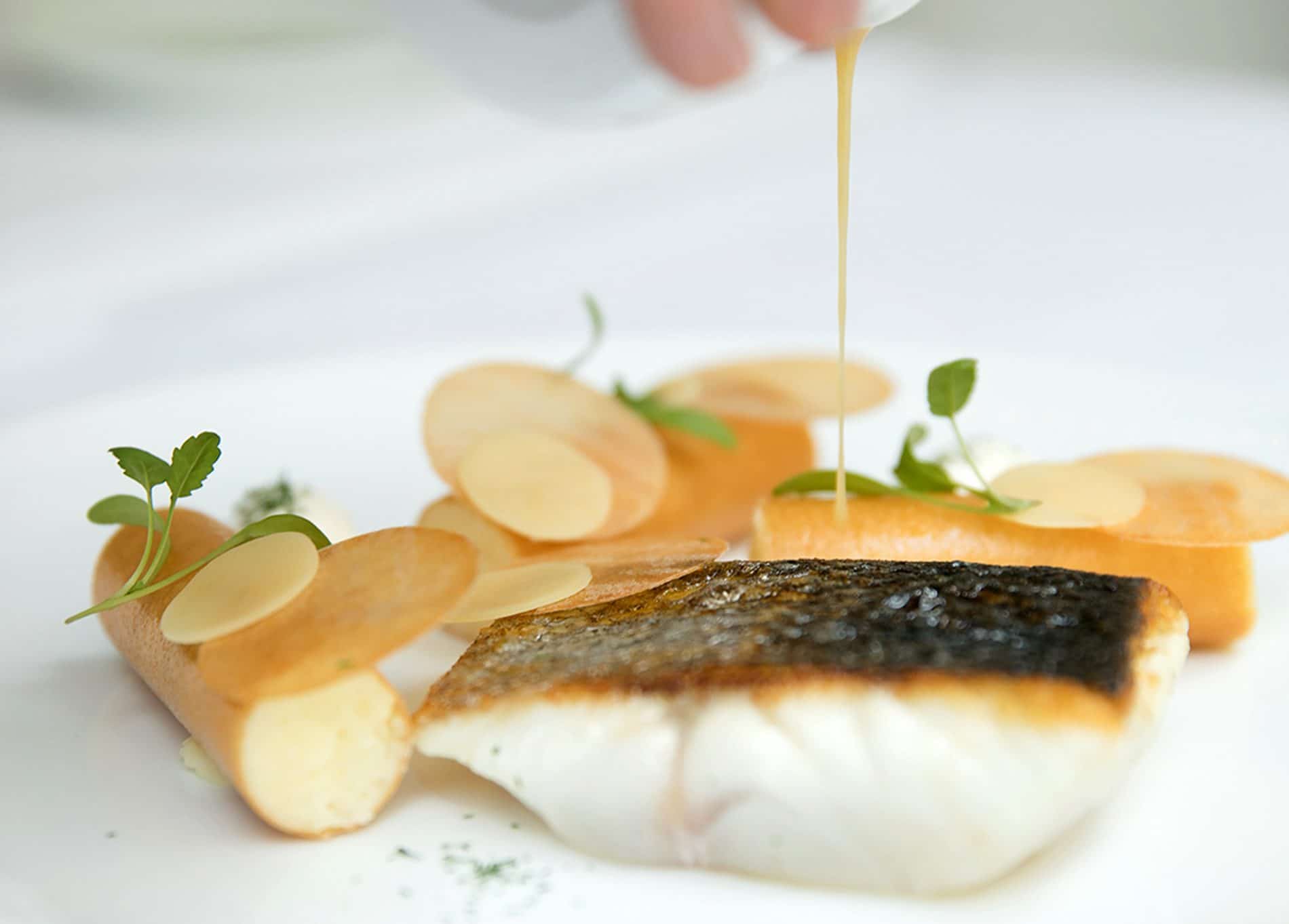 Assiette de poisson au restaurant Pertinence